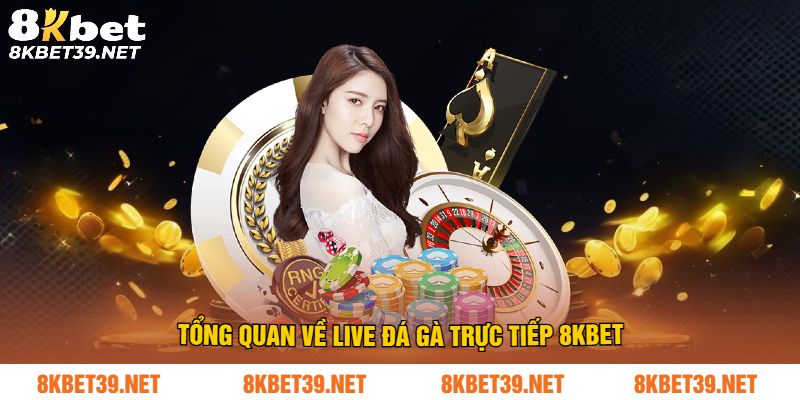 Tổng quan về live đá gà trực tiếp 8Kbet